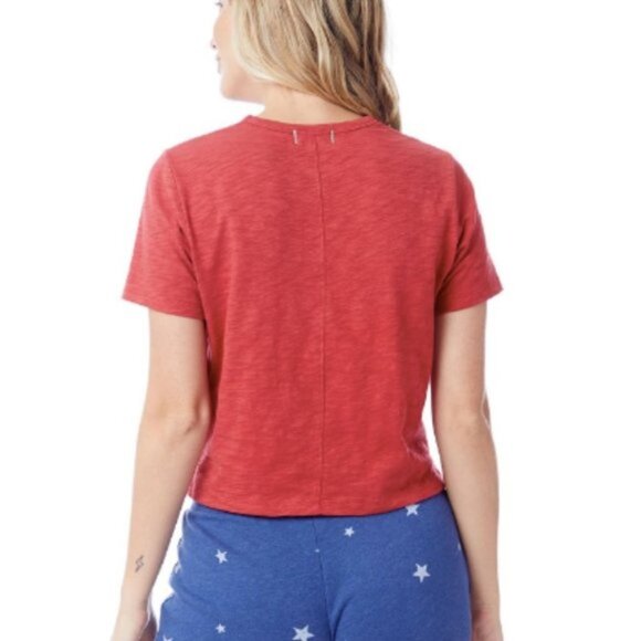 Alternative Hayes Crop Slub Organic Cotton T-Shirt - Picture 2 of 9